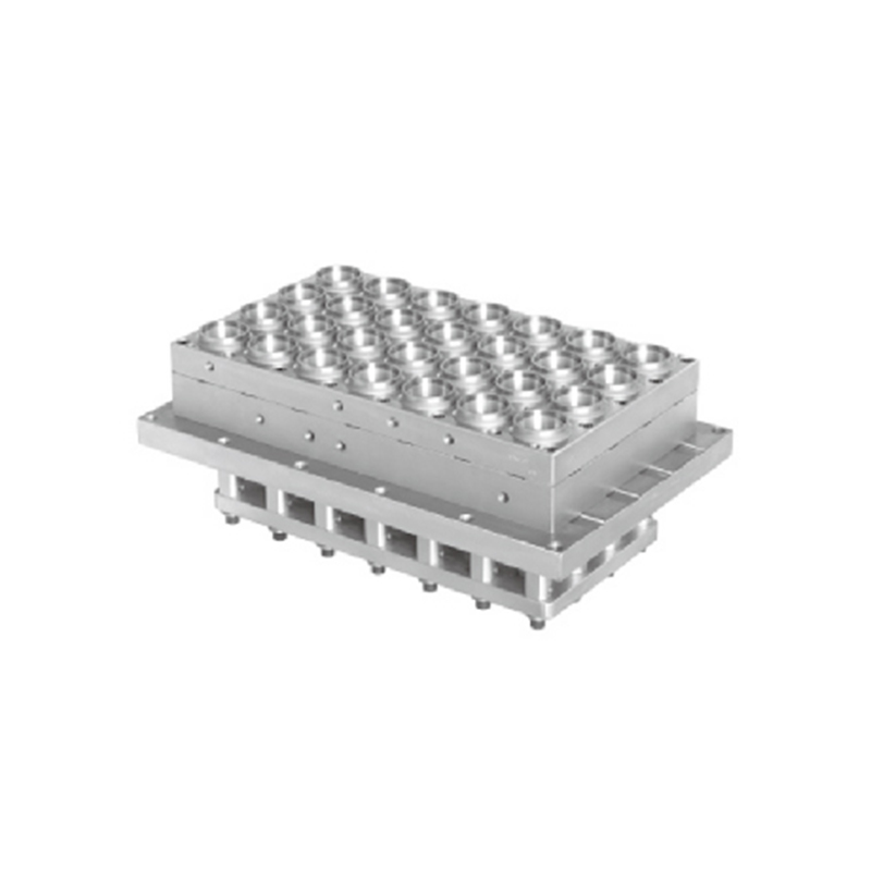 Thermoforming plastic tasa/plato/lalagyan/kahon/lids magkaroon ng amag